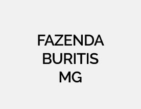 fazenda-buritis-mg-image-portfolio